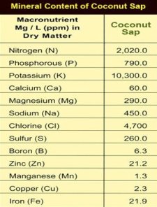 Coconut Nectar - Minerals